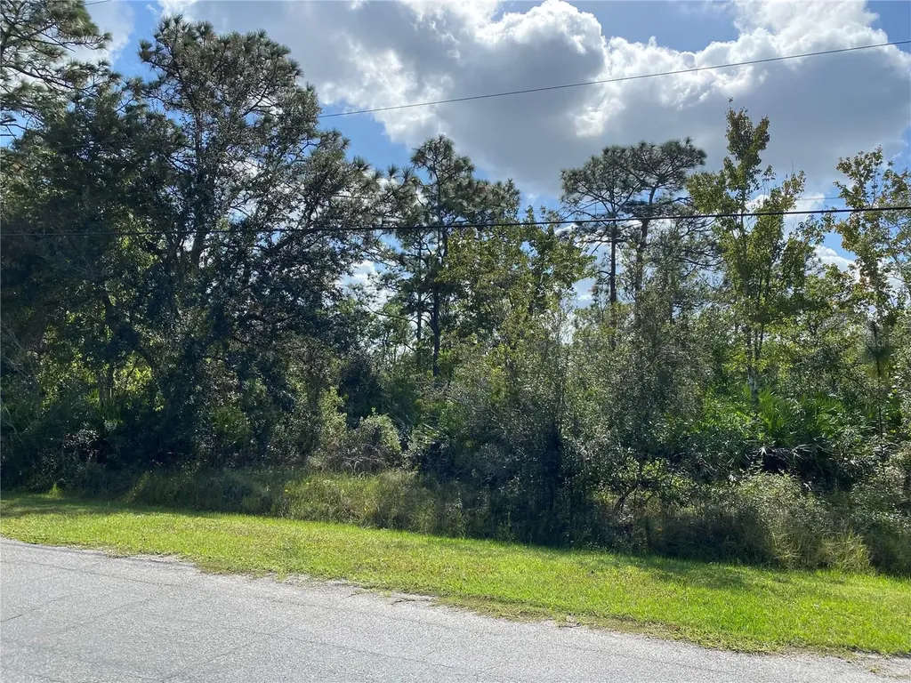 Odham Street Orlando FL 32833