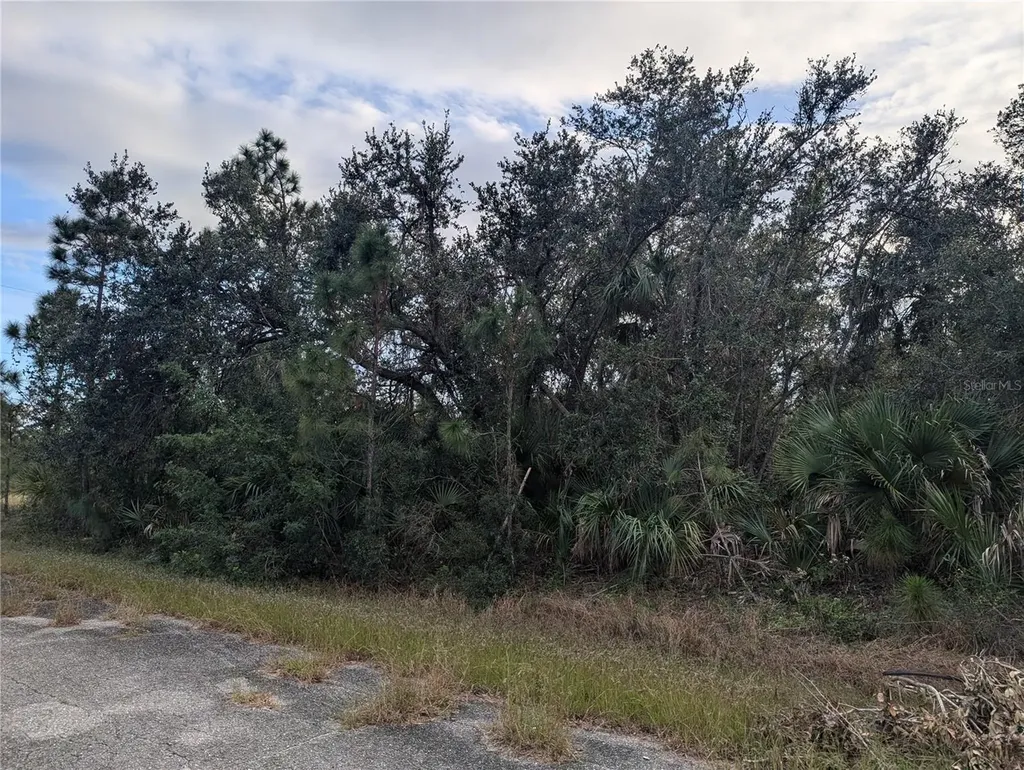 Lot 11 Mattox Circle North Port FL 34288