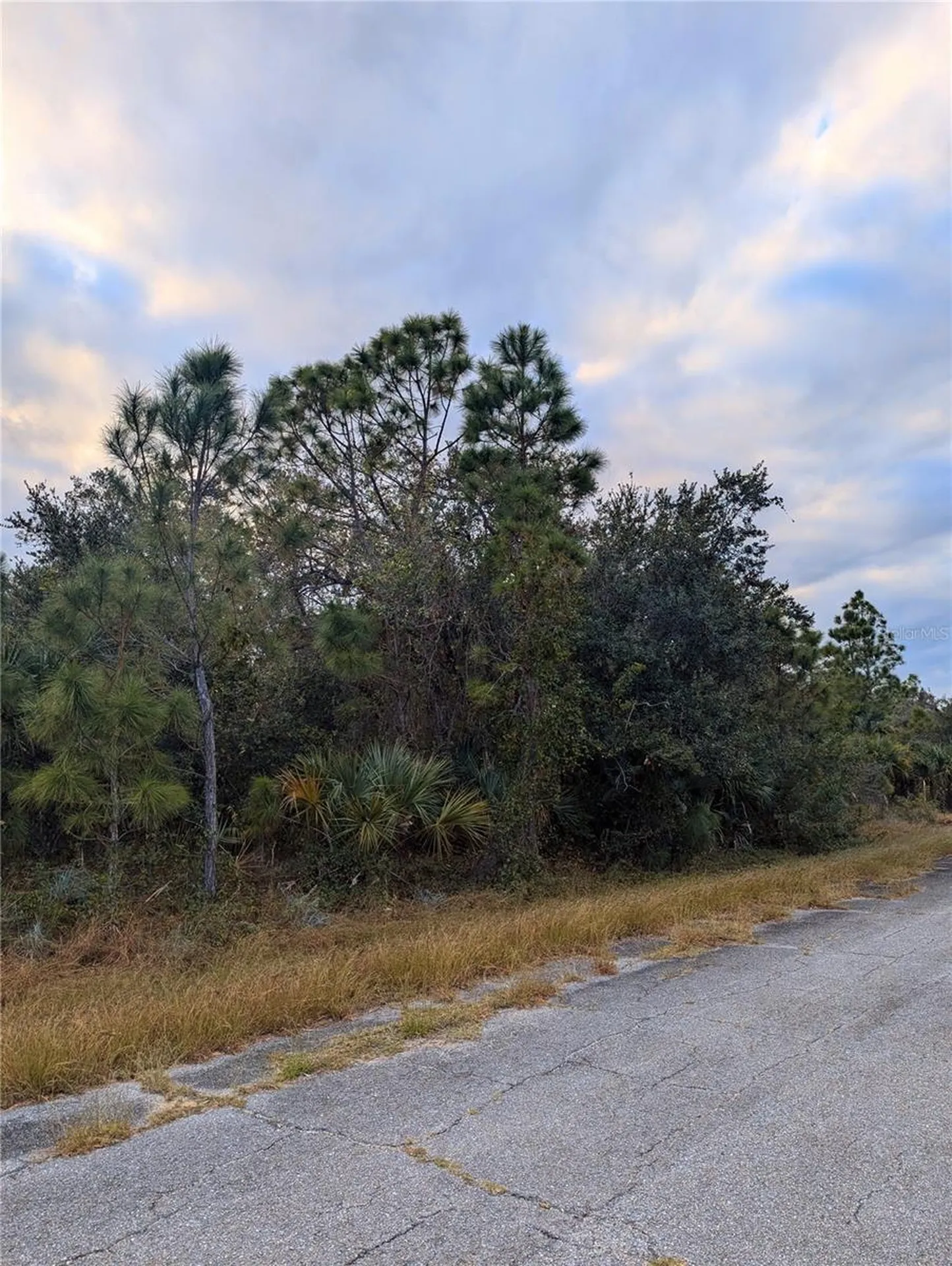 Lot 11 Mattox Circle North Port FL 34288