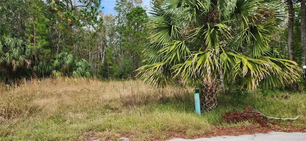 Lot 285 Cutlass Drive Hudson FL 34667