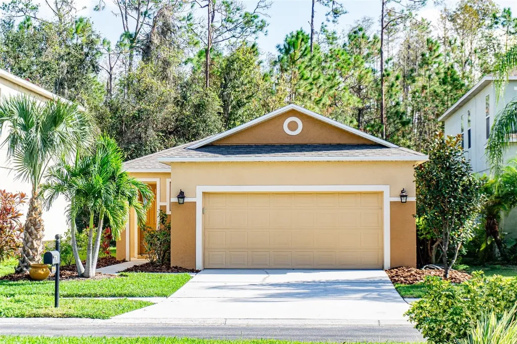 27100 Stillbrook Drive Wesley Chapel FL 33544
