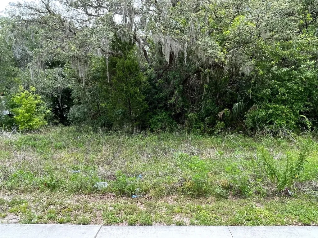 12120 Hicks Road Hudson FL 34669