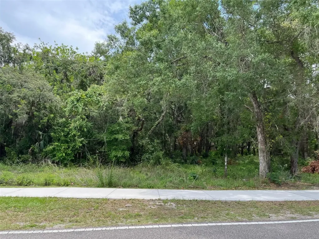 12120 Hicks Road Hudson FL 34669