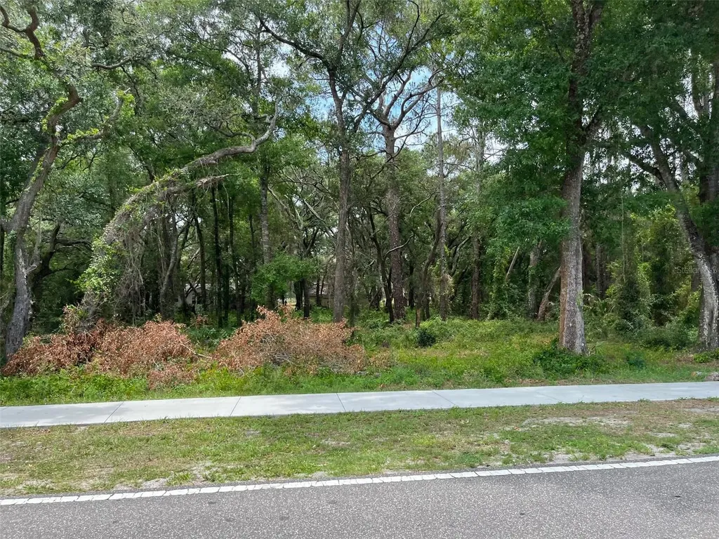 12120 Hicks Road Hudson FL 34669