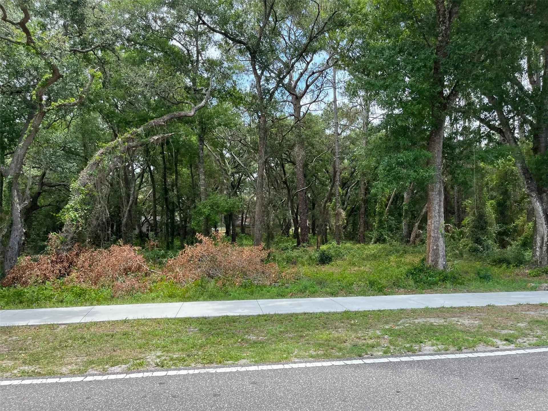 12120 Hicks Road Hudson FL 34669