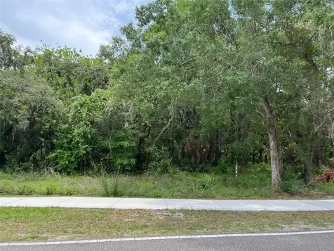 12120 Hicks Road Hudson FL 34669