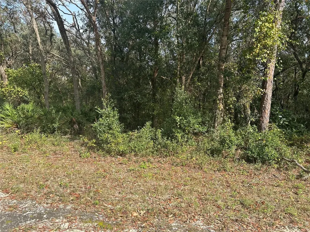 9114 Realstone Drive Webster FL 33597