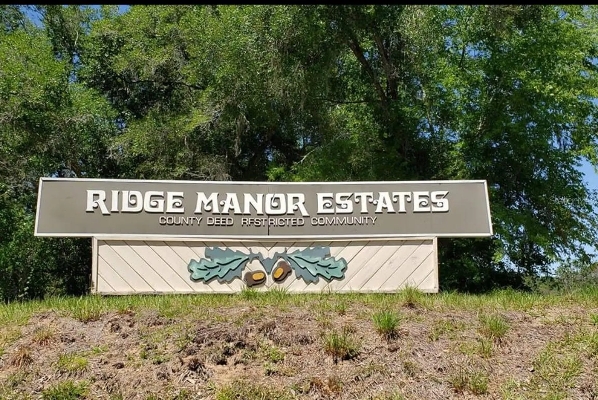 9114 Realstone Drive Webster FL 33597
