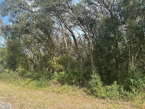 9114 Realstone Drive Webster FL 33597