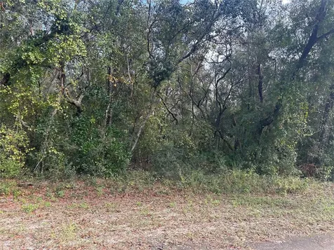 9114 Realstone Drive Webster FL 33597