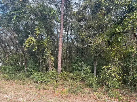 9114 Realstone Drive Webster FL 33597
