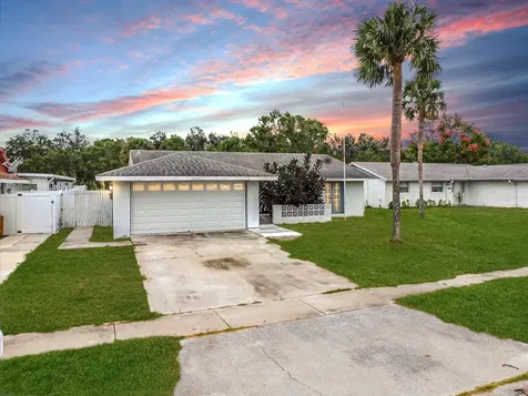 7019 Fountain Avenue Tampa FL 33634