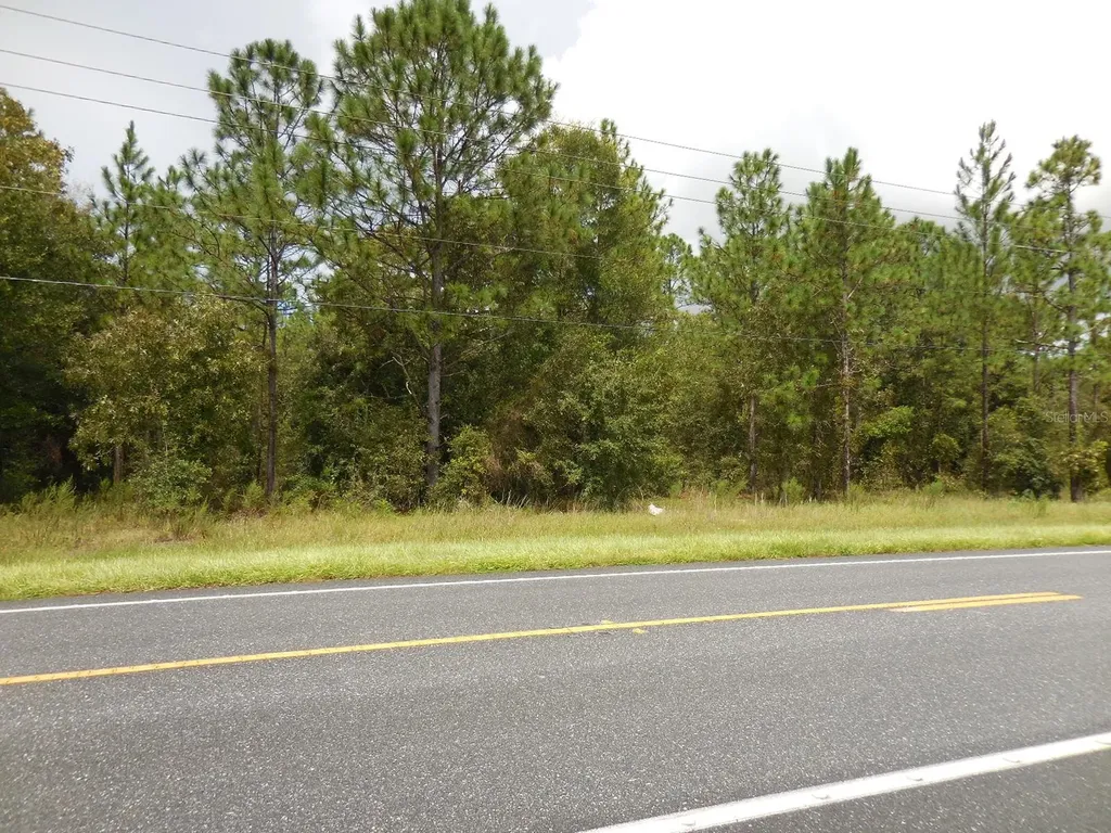 Tbd NE State Road 121 Williston FL 32696