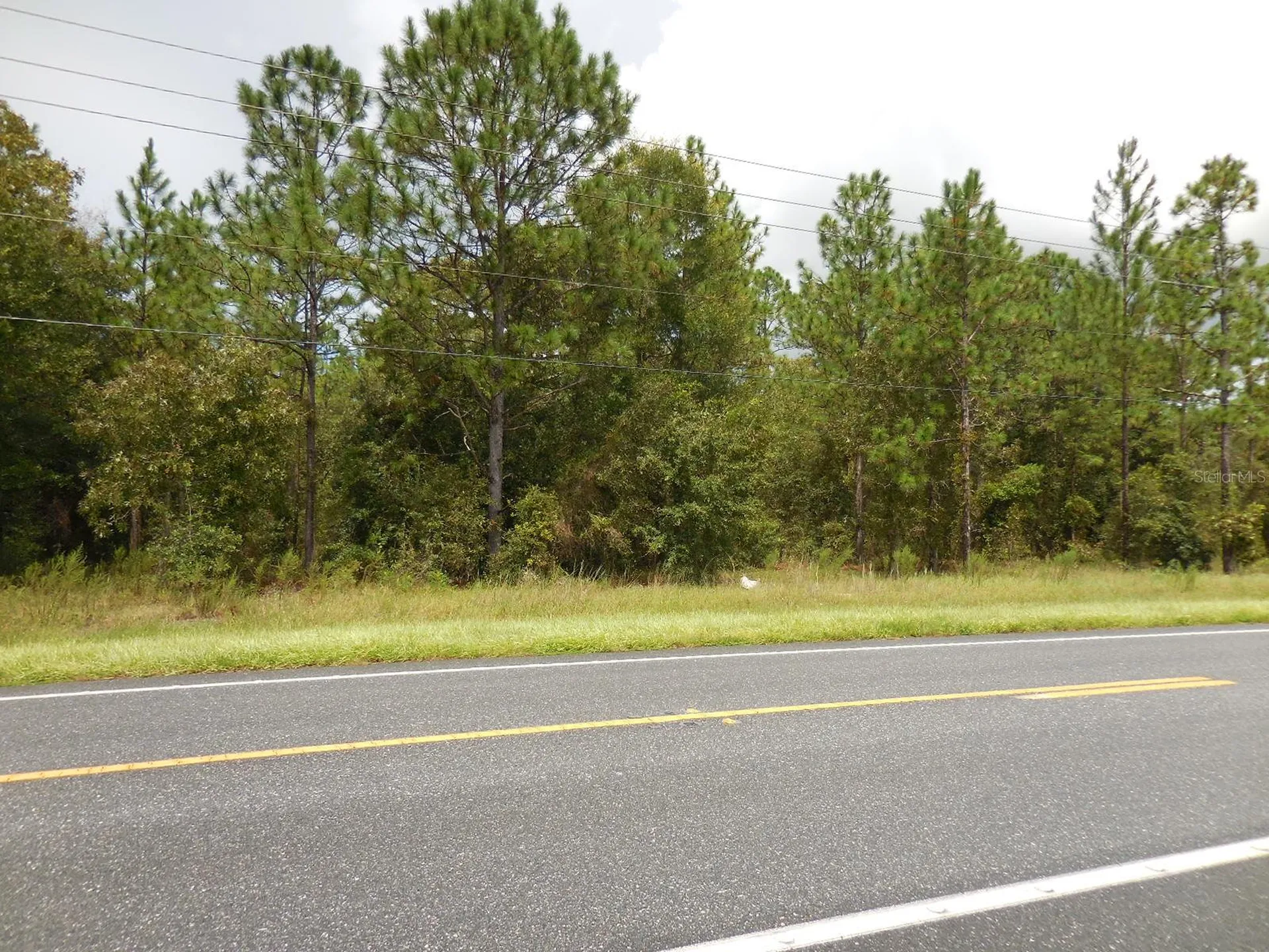 Tbd NE State Road 121 Williston FL 32696