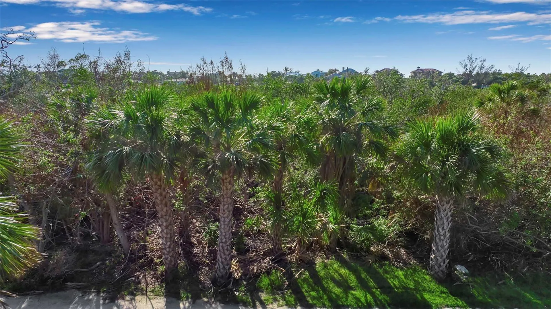 Bayshore Drive Englewood FL 34223