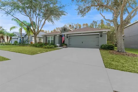 5838 Sweet William Terrace Land O Lakes FL 34639