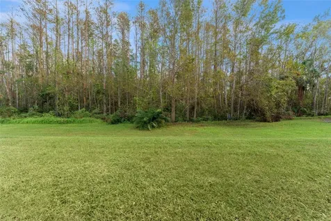 5838 Sweet William Terrace Land O Lakes FL 34639