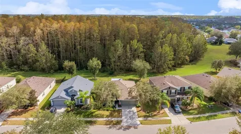 5838 Sweet William Terrace Land O Lakes FL 34639