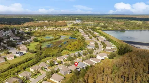 5838 Sweet William Terrace Land O Lakes FL 34639