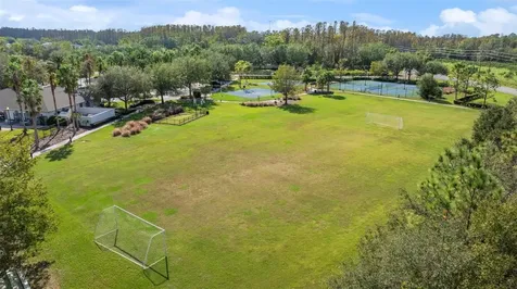 5838 Sweet William Terrace Land O Lakes FL 34639
