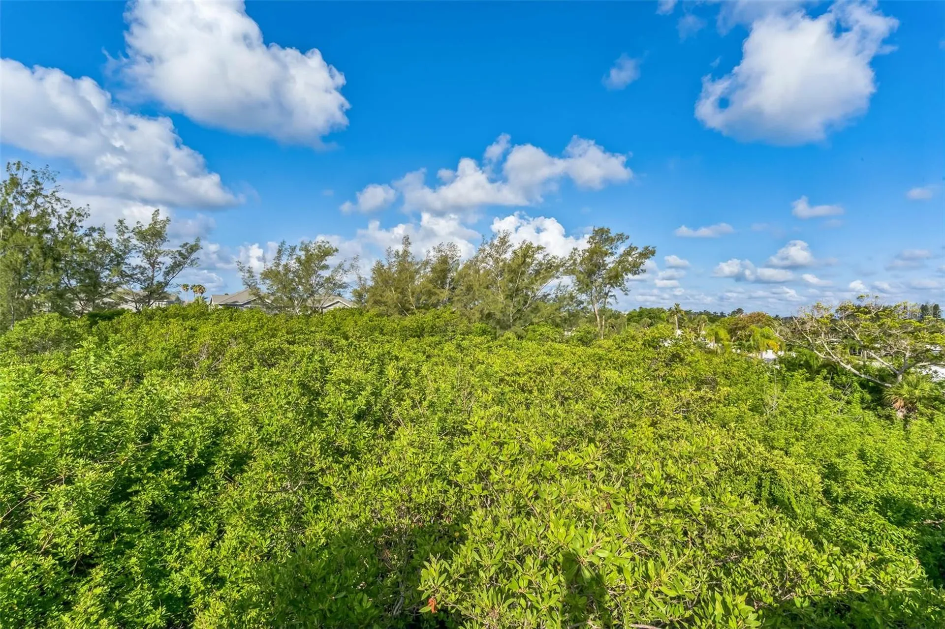 619 Cedars Court Longboat Key FL 34228