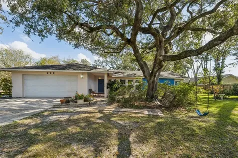 222 Riviere Road Palm Harbor FL 34683