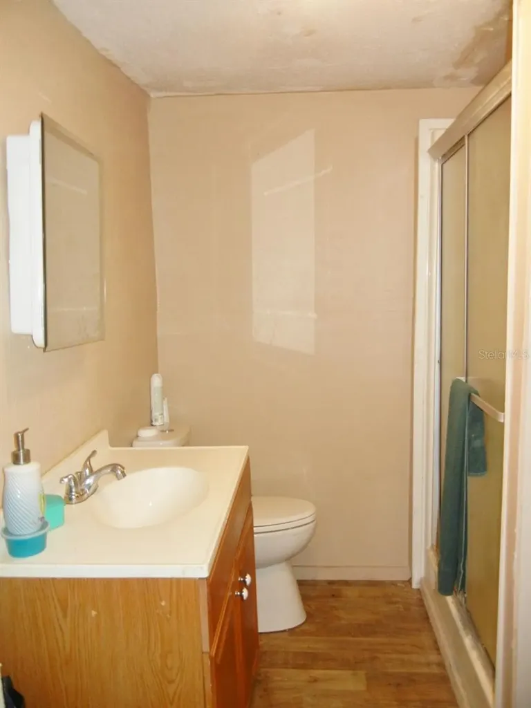 27945 Veva Avenue Paisley FL 32767