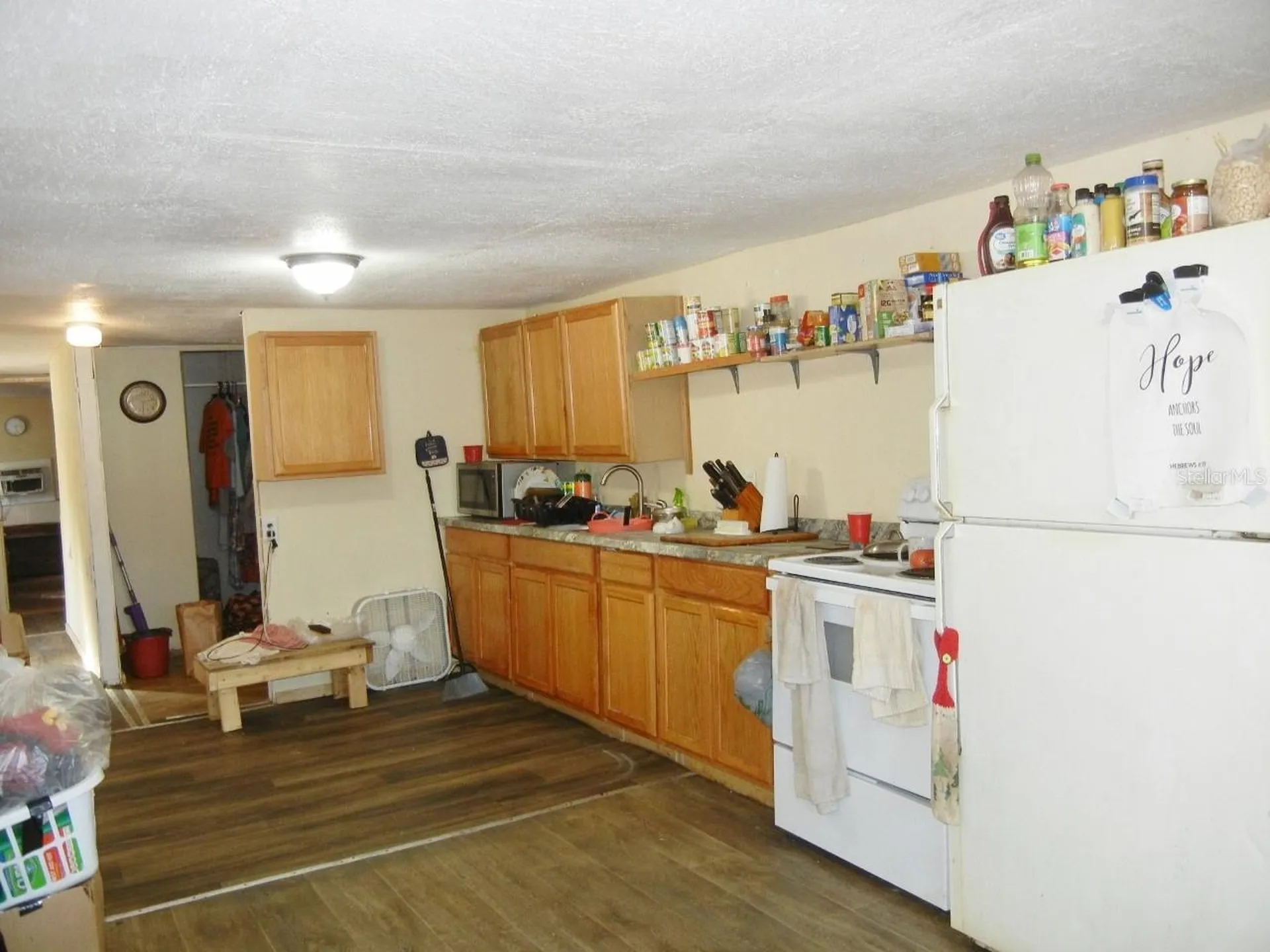 27945 Veva Avenue Paisley FL 32767