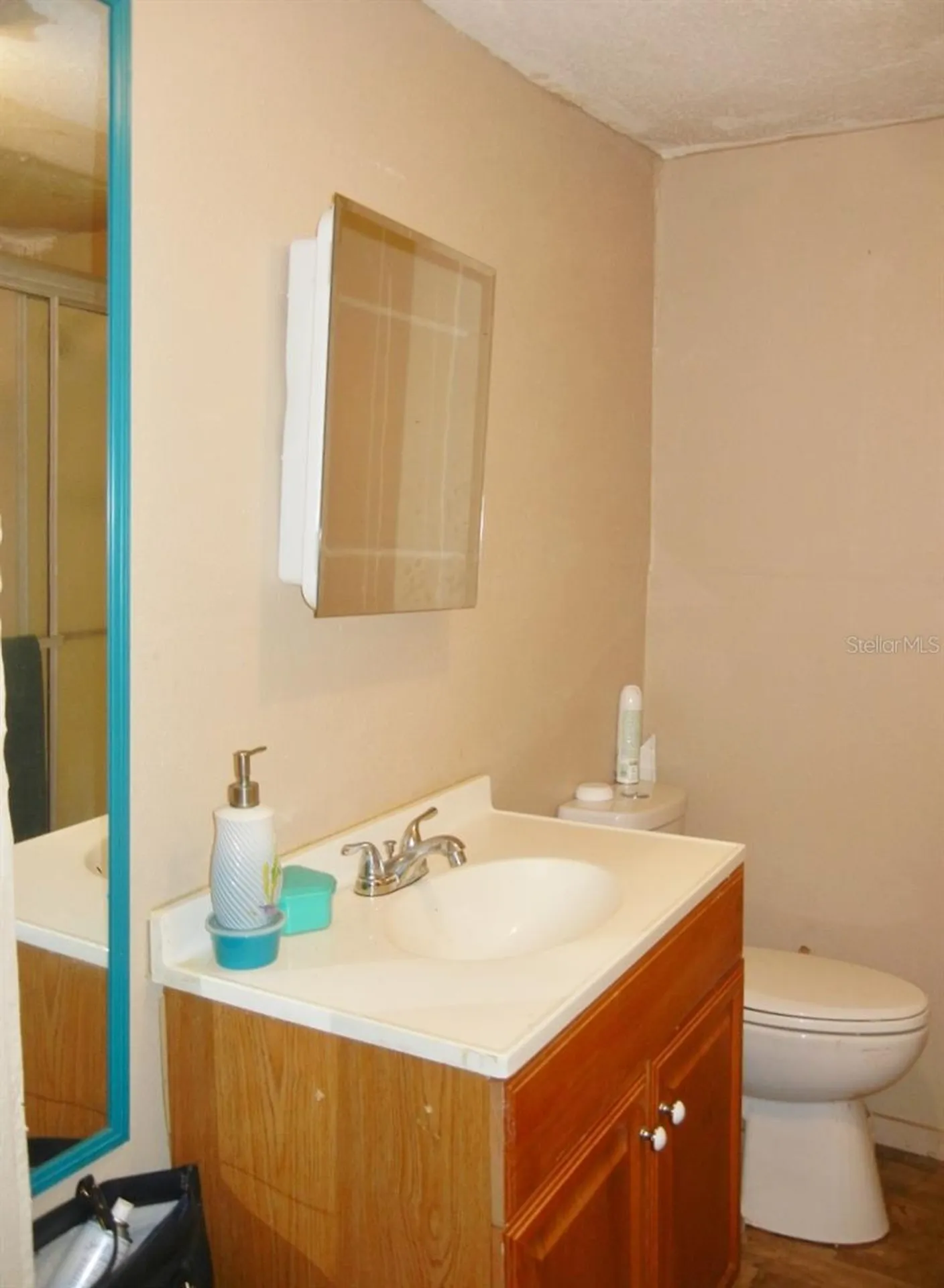 27945 Veva Avenue Paisley FL 32767