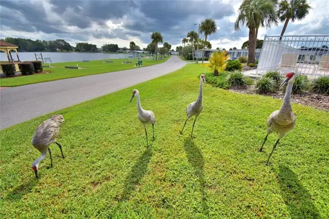 4908 Rosewood Street Winter Haven FL 33880
