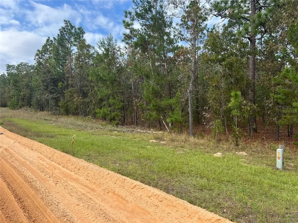 255 Melrose Landing Drive Hawthorne FL 32640