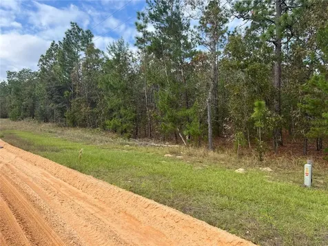 255 Melrose Landing Drive Hawthorne FL 32640