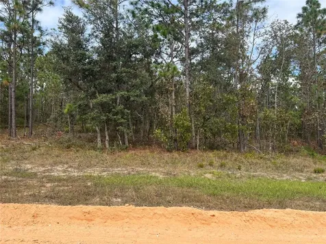255 Melrose Landing Drive Hawthorne FL 32640