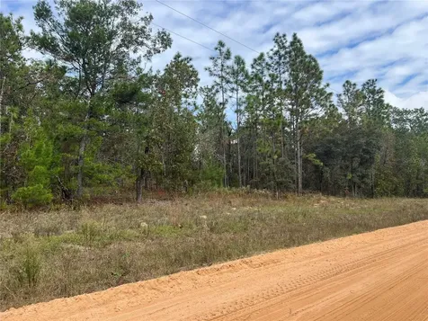 255 Melrose Landing Drive Hawthorne FL 32640