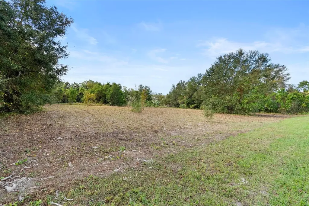 214 W International Speedway Boulevard Deland FL 32720