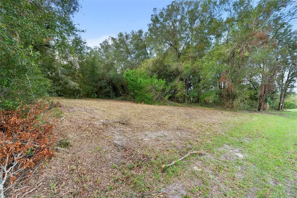 214 W International Speedway Boulevard Deland FL 32720