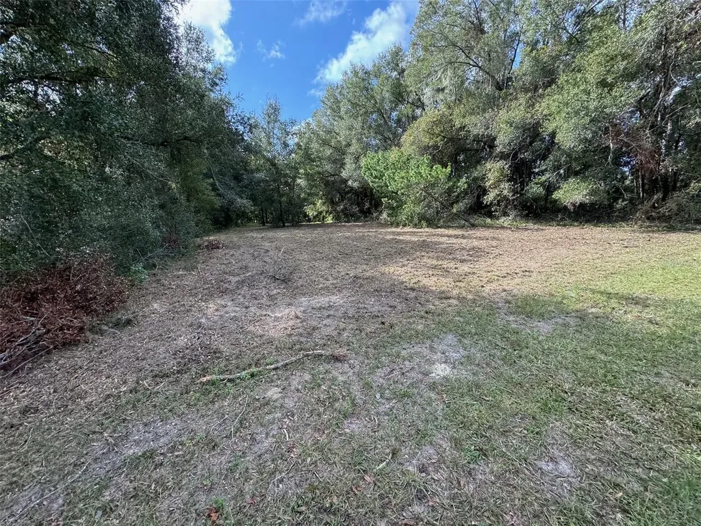 214 W International Speedway Boulevard Deland FL 32720