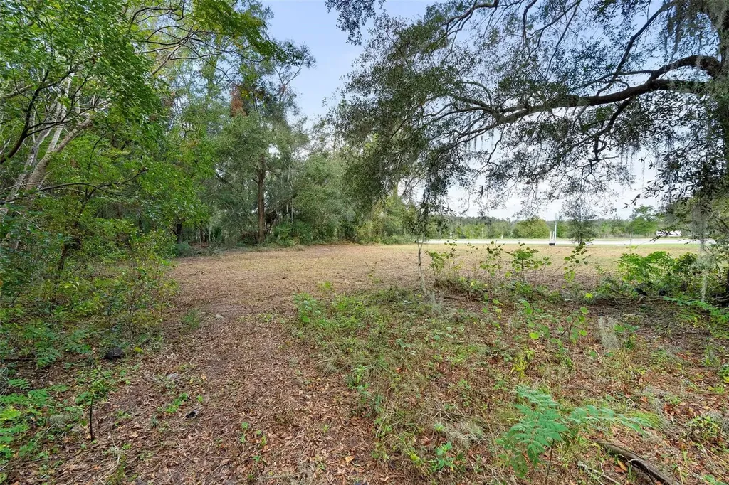 214 W International Speedway Boulevard Deland FL 32720