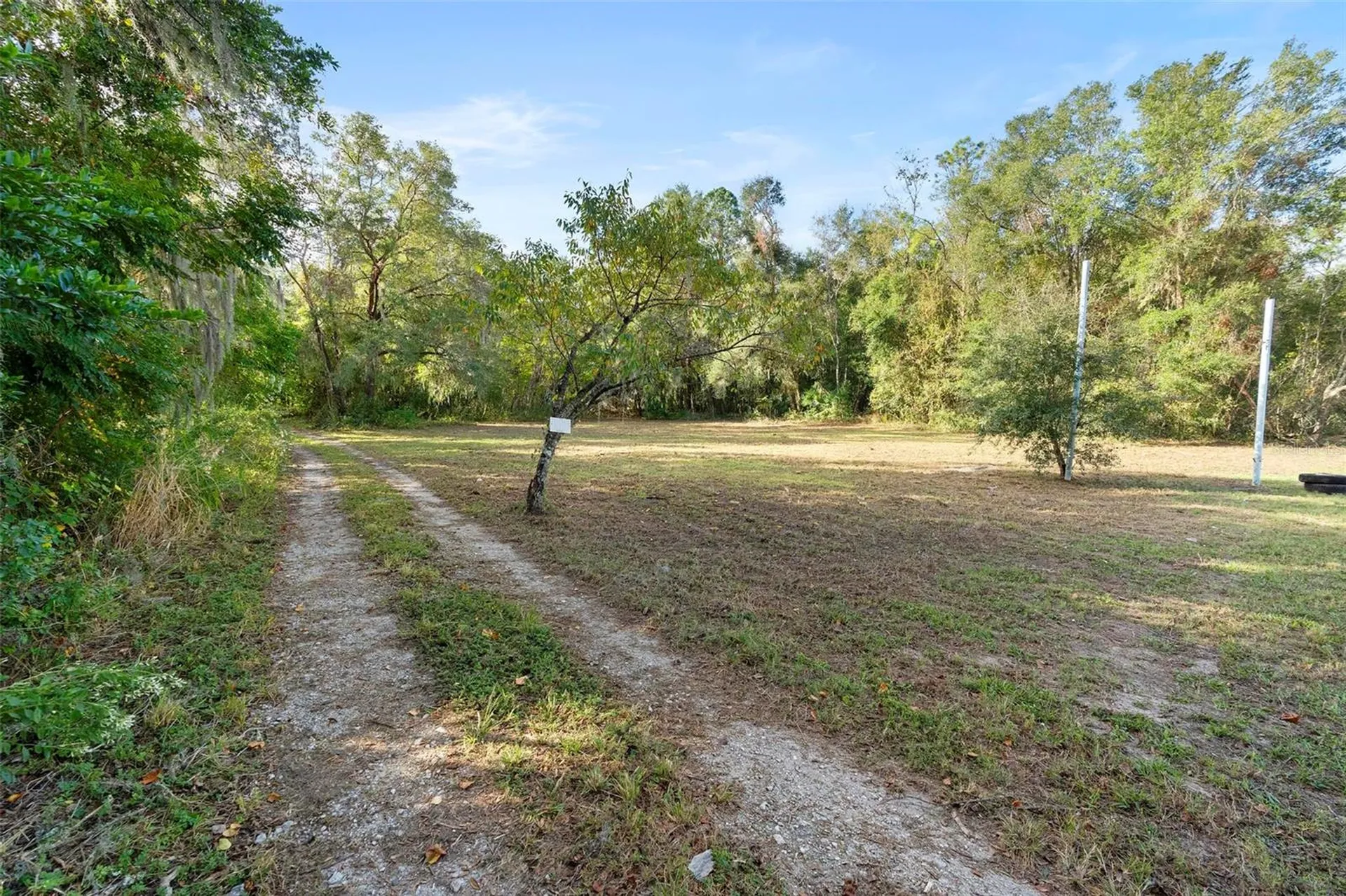 214 W International Speedway Boulevard Deland FL 32720