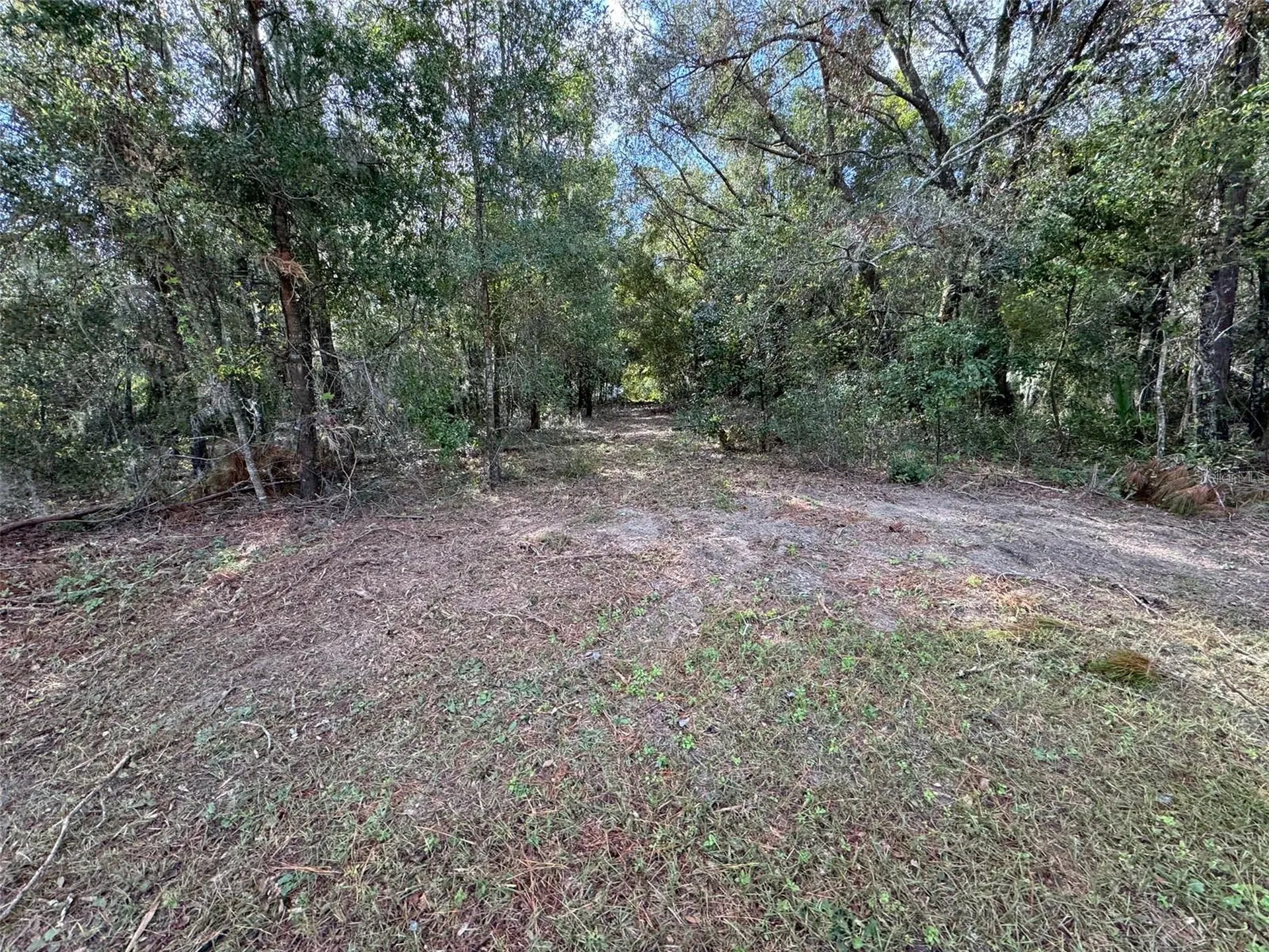 214 W International Speedway Boulevard Deland FL 32720
