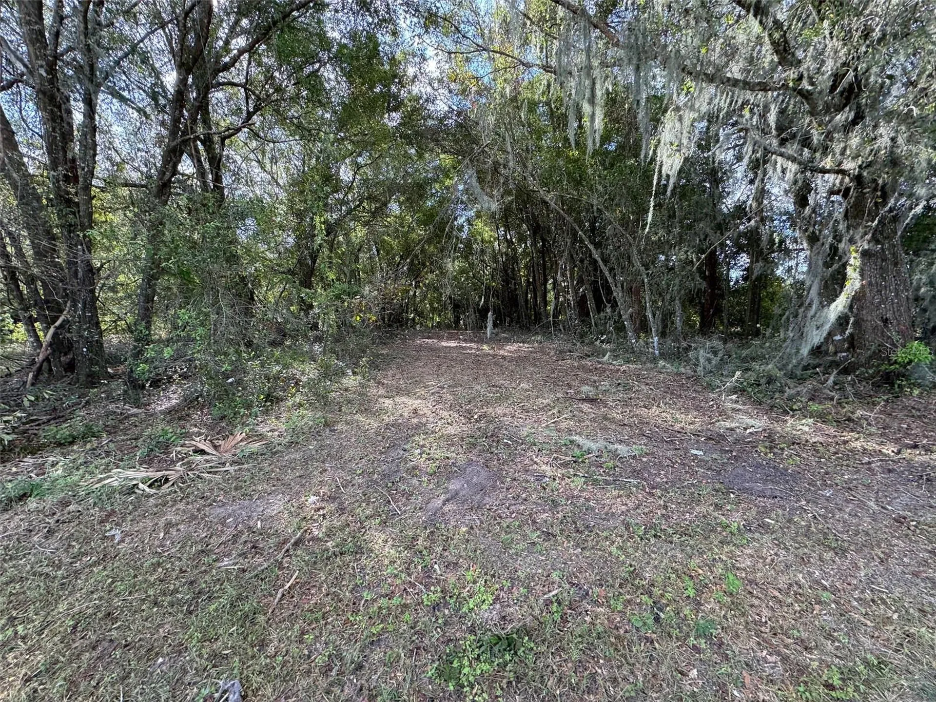 214 W International Speedway Boulevard Deland FL 32720