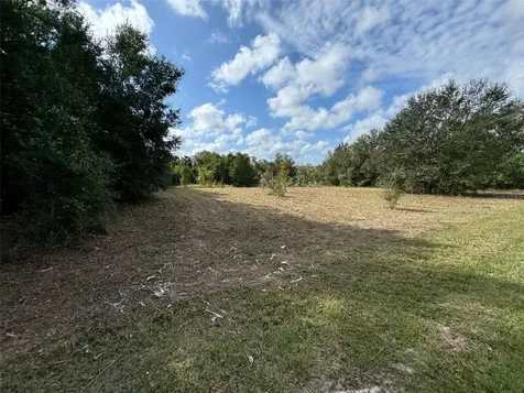 214 W International Speedway Boulevard Deland FL 32720