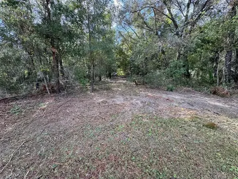 214 W International Speedway Boulevard Deland FL 32720