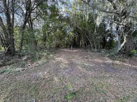 214 W International Speedway Boulevard Deland FL 32720
