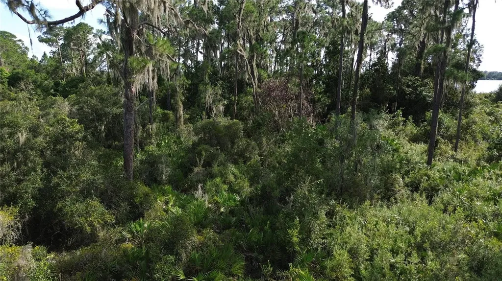 3029 Hawks Landing Circle Sebring FL 33875
