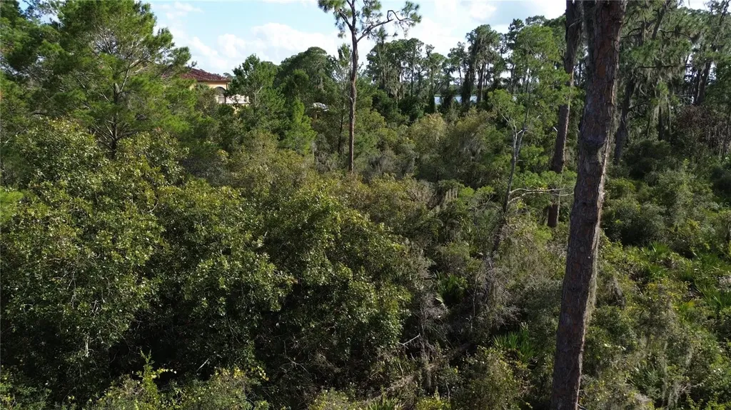 3029 Hawks Landing Circle Sebring FL 33875