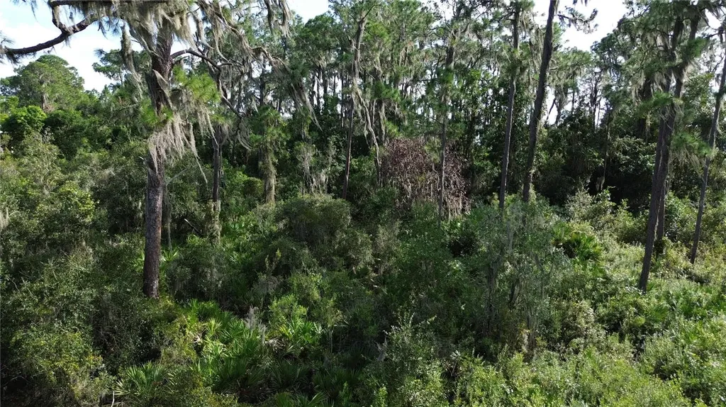 3029 Hawks Landing Circle Sebring FL 33875