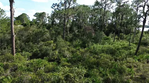 3029 Hawks Landing Circle Sebring FL 33875