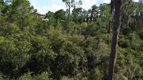 3029 Hawks Landing Circle Sebring FL 33875