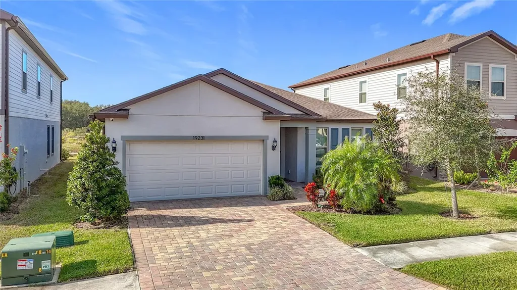 19231 Mossy Pine Drive Tampa FL 33647